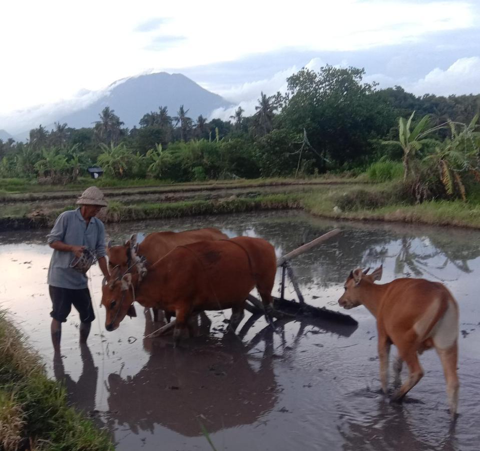 Pondok Diana Arta Jasri Rum bild